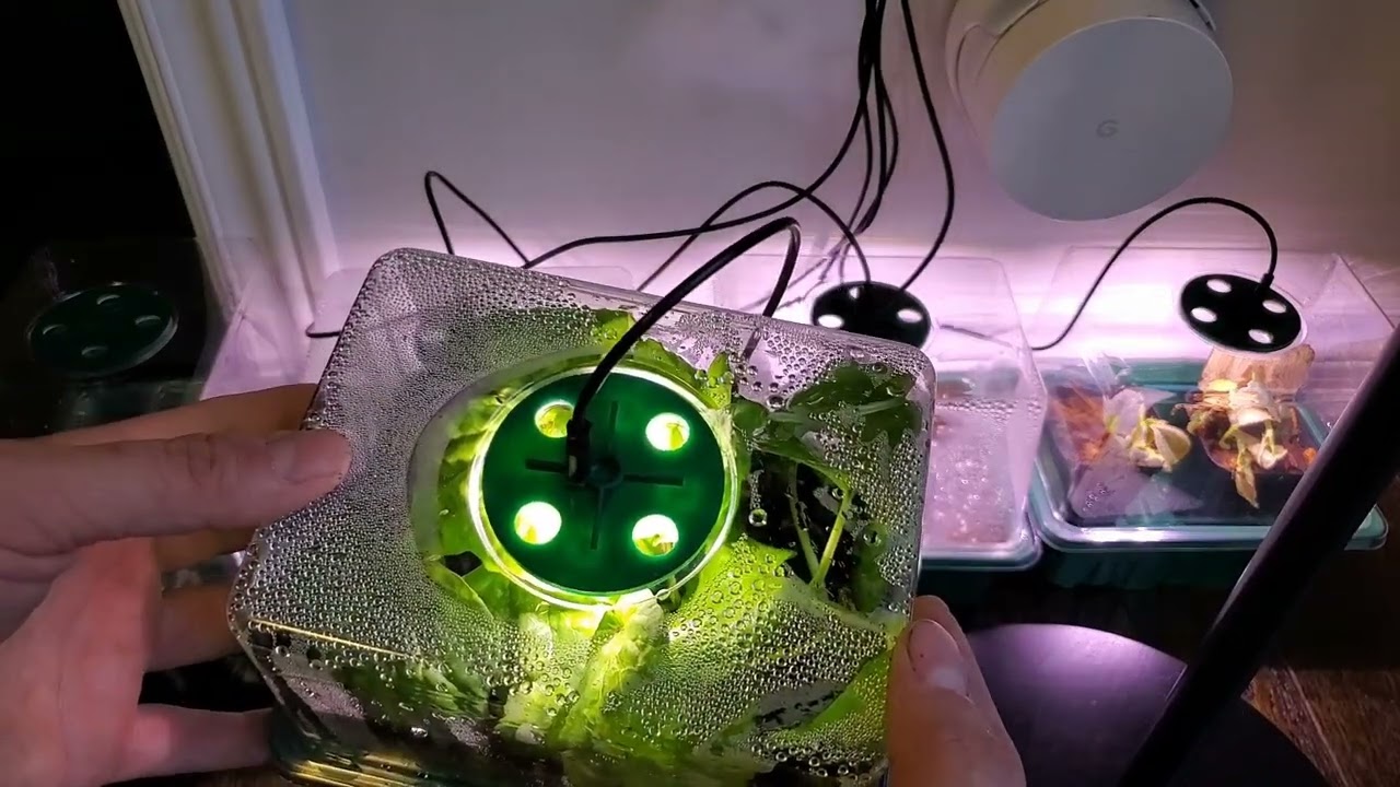 LED Seed Starter Update