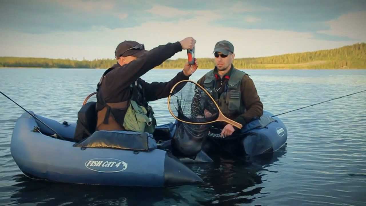 Ett fiskeår längs Vindelälvsdalen del 4 - Flugfiske efter grov öring och röding i midsommartid