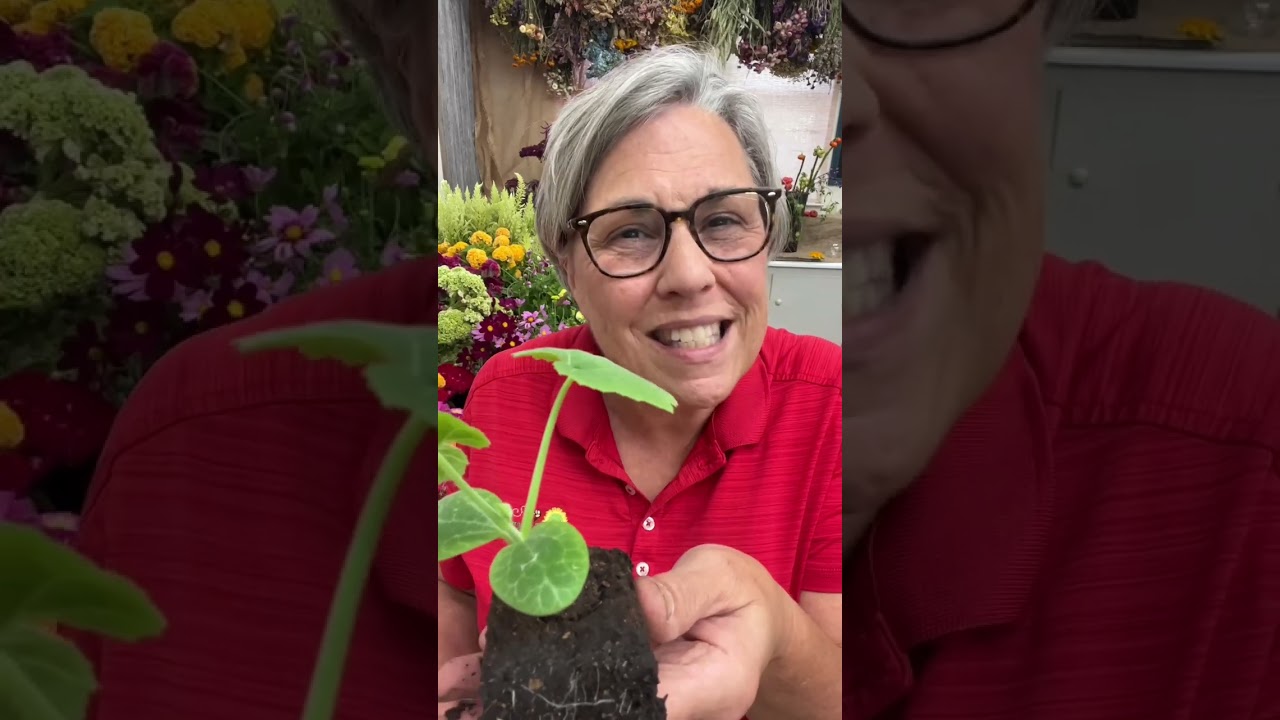 Love these tiny gourds! So many fresh and dried uses.