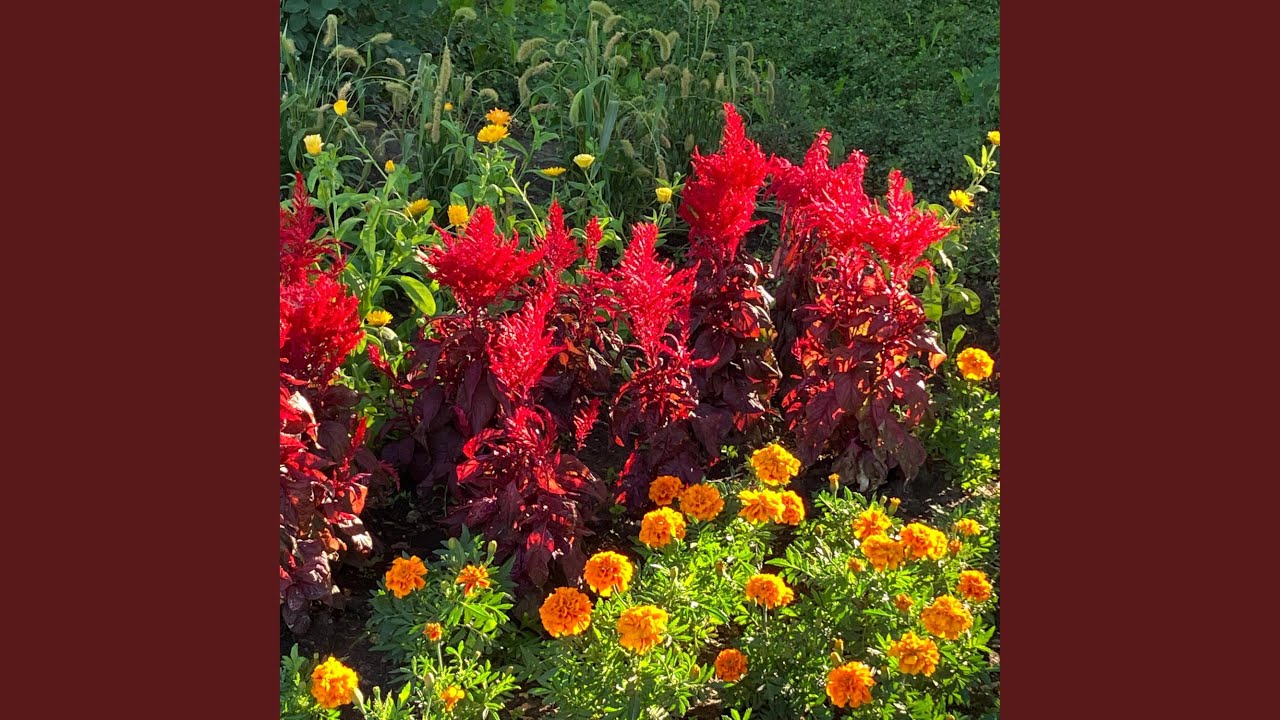 Run For Shelter In A Tacky Sweater