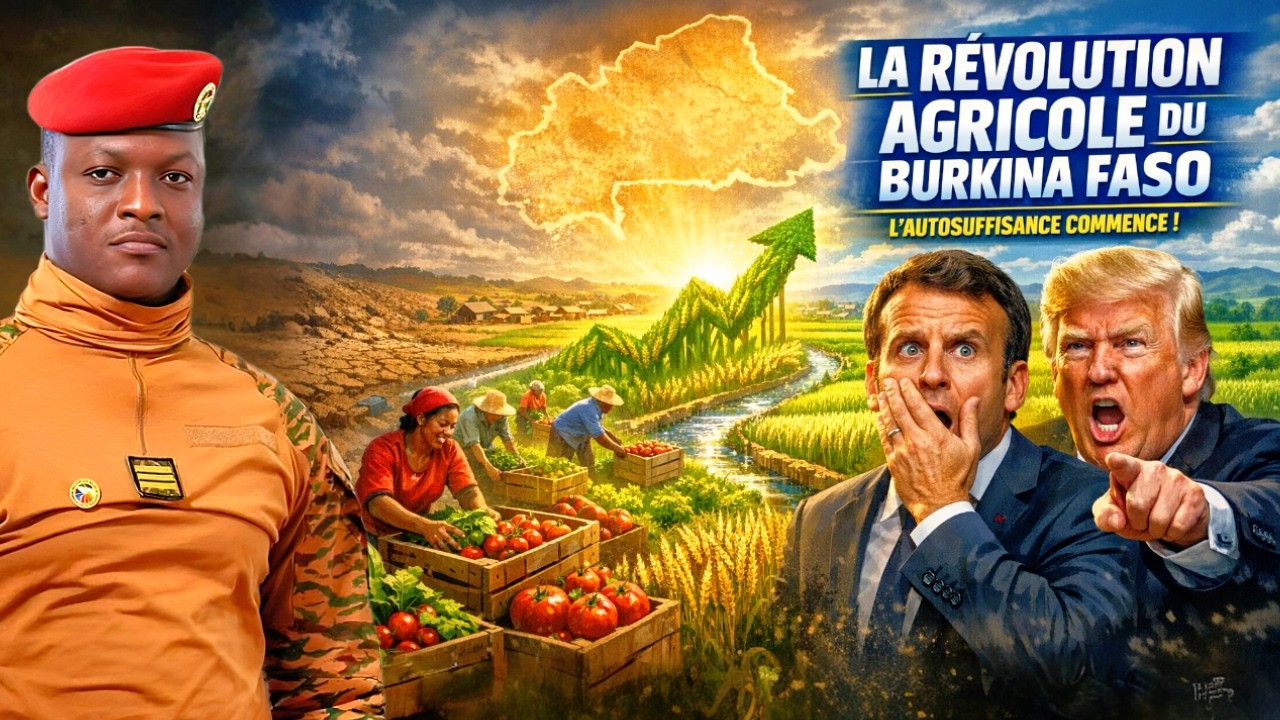 Ibrahim Traoré : 115 Hectares → 350 Tonnes, la Révolution Agricole qui Choque le Monde