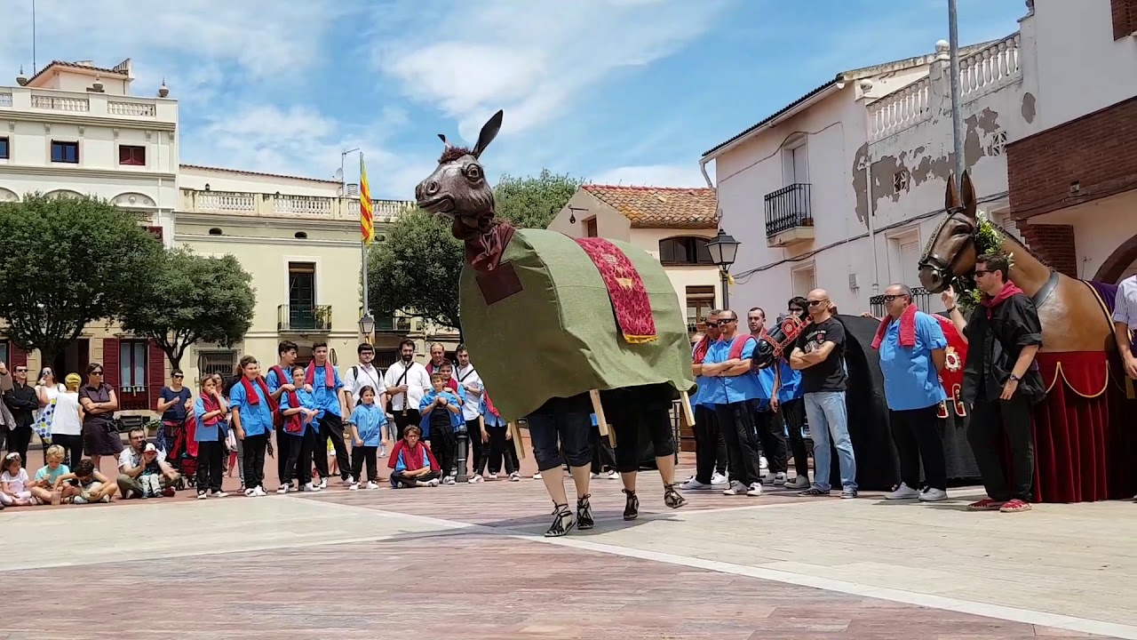 Mulassa d'Olesa de Montserrat