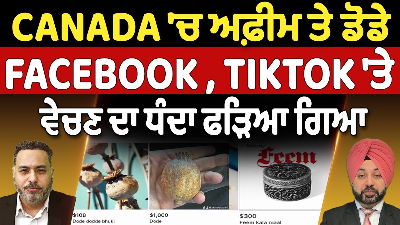 Canada 'ਚ ਅਫ਼ੀਮ ਤੇ ਡੋਡੇ, Facebook , TikTok 'ਤੇ ਵੇਚਣ ਦਾ ਧੰਦਾ ਫੜਿਆ ਗਿਆ