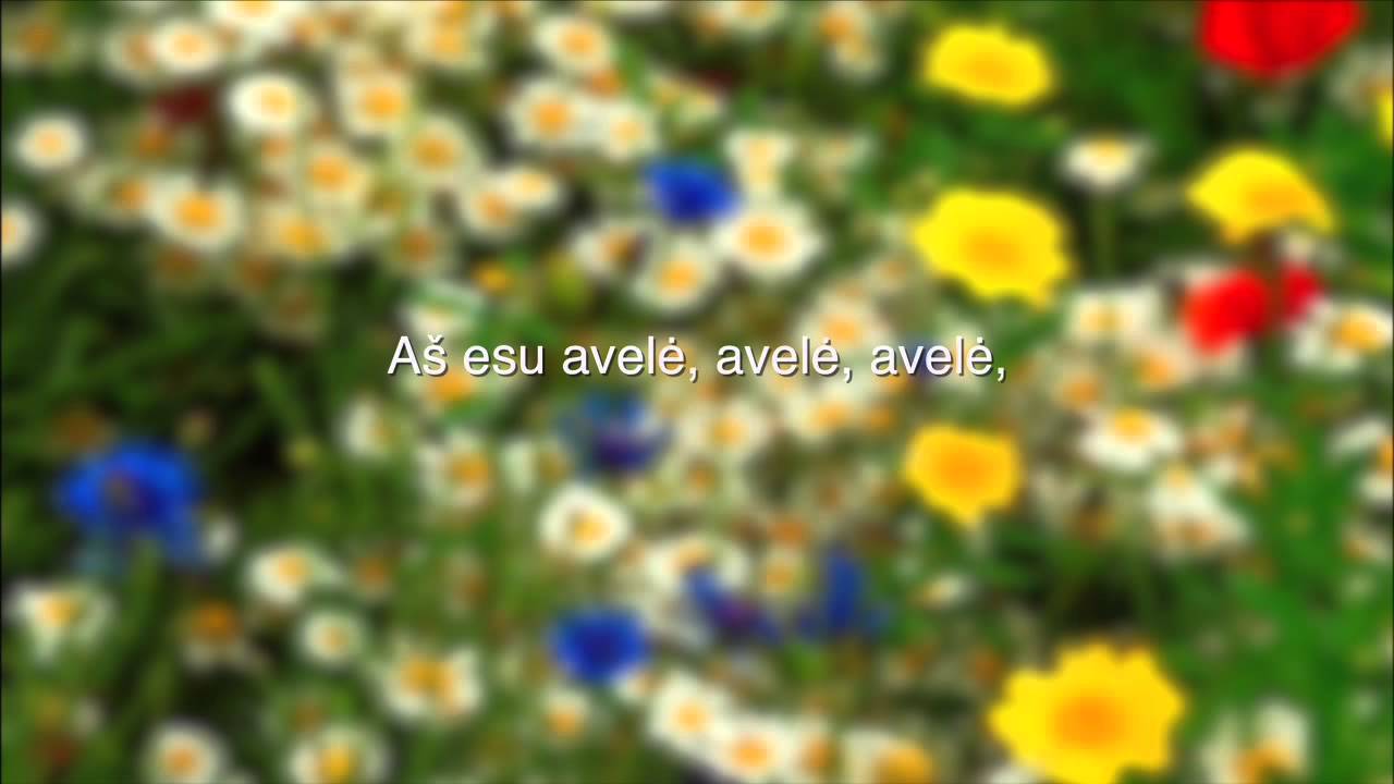 Aš esu avelė