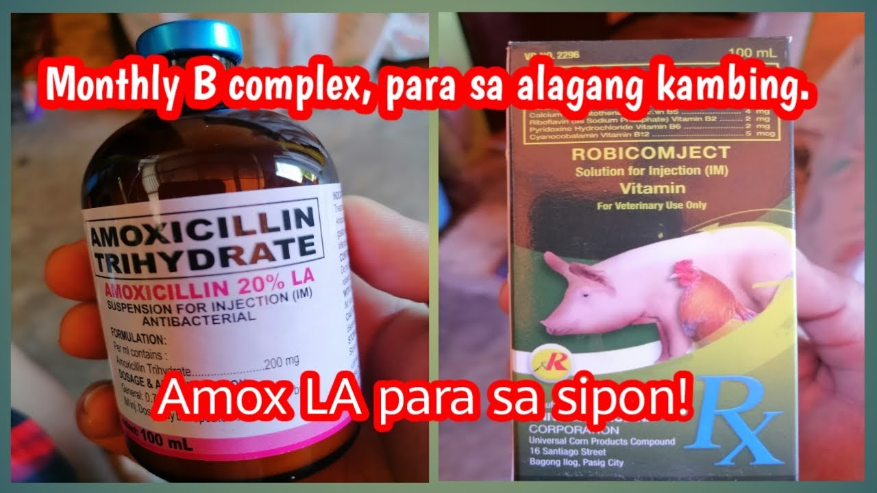 Monthly vitamins and amox LA para sa sipon.