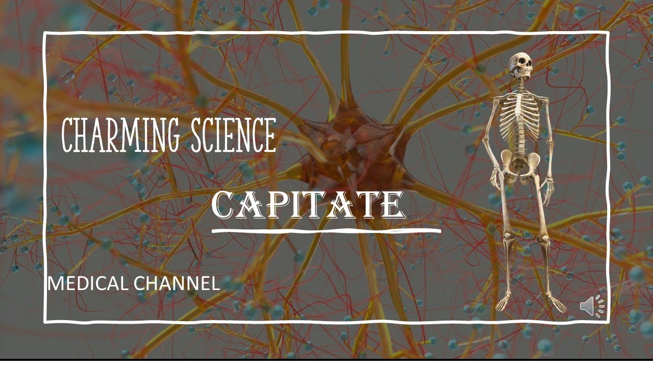 Capitate video