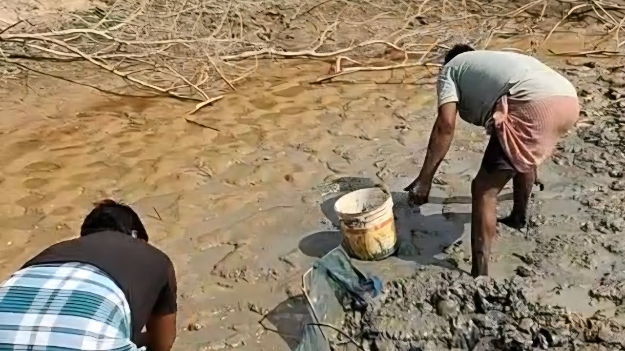 We are all fishing together | আসাম এসে মাছ ধরতে ব্যাস্ত 🐟🤩 | #sudipthevlogger 