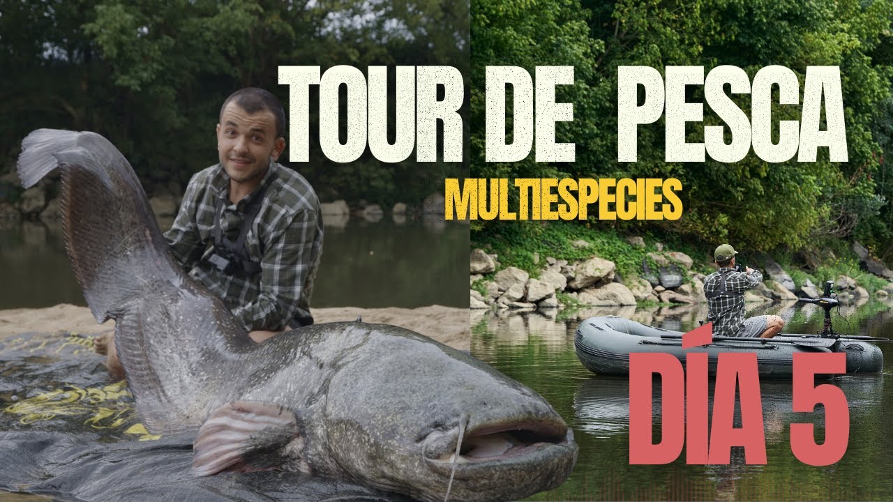 ¡PESCO un GRAN SILURO en PEQUEÑO RIO! - TOUR DE PESCA Nº5 EP. 5