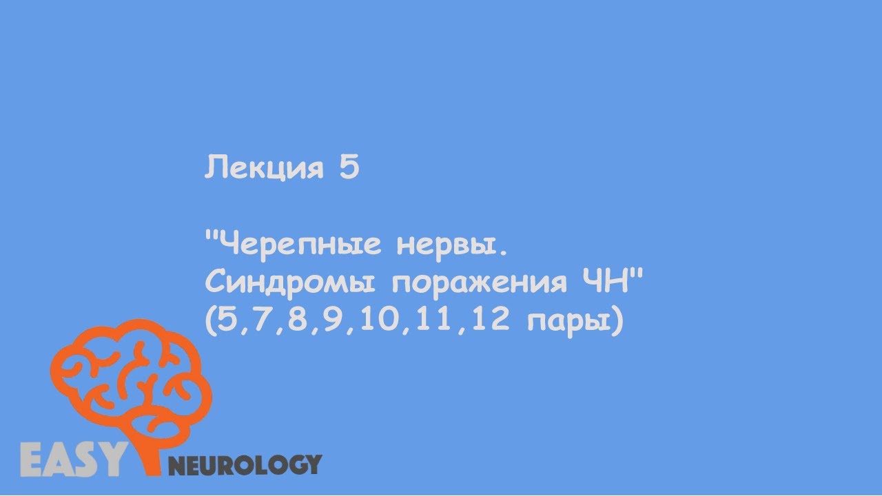 Общая неврология.Лекция 5 