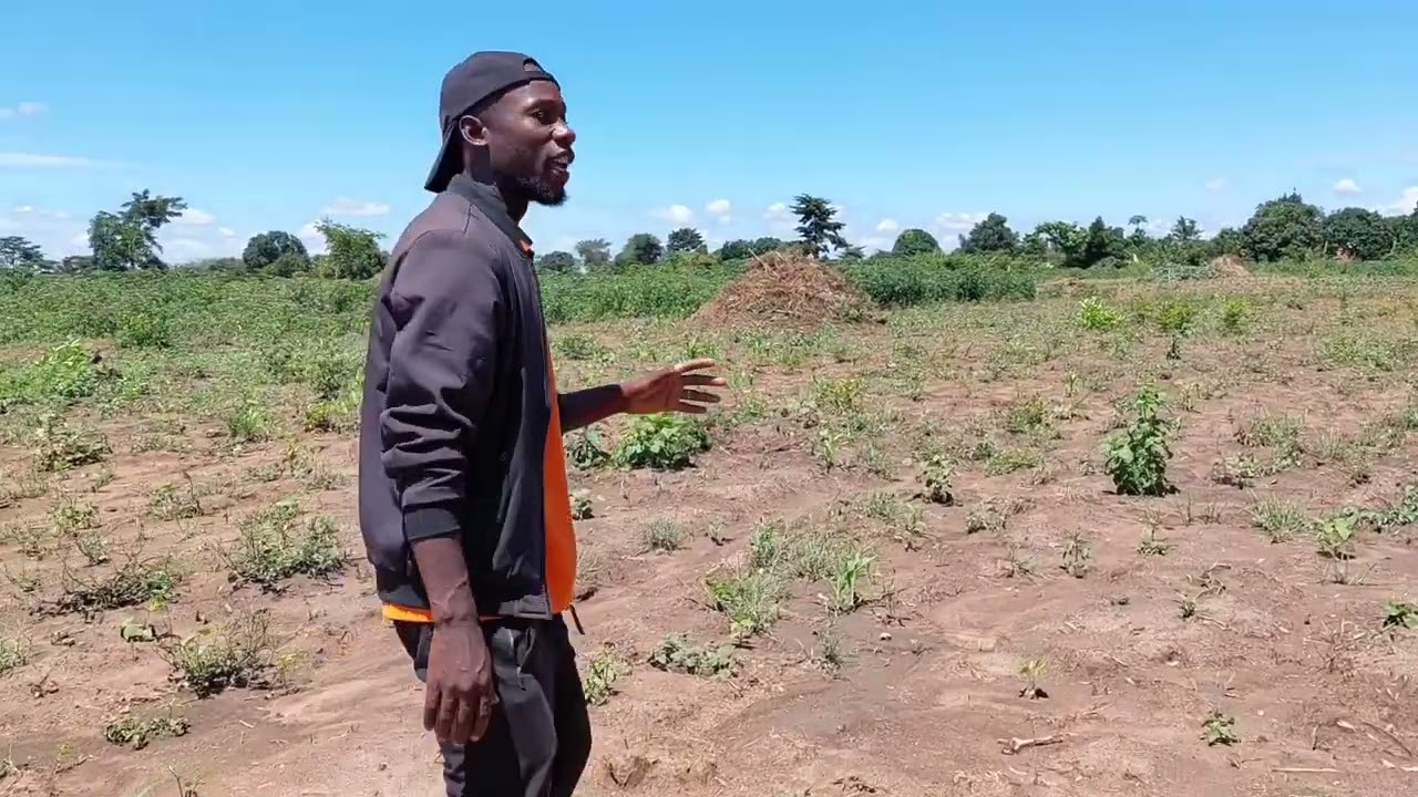 Land For Sale - Episode 10 | 6 Acres Of Extremely Fertile Land In Buyende District