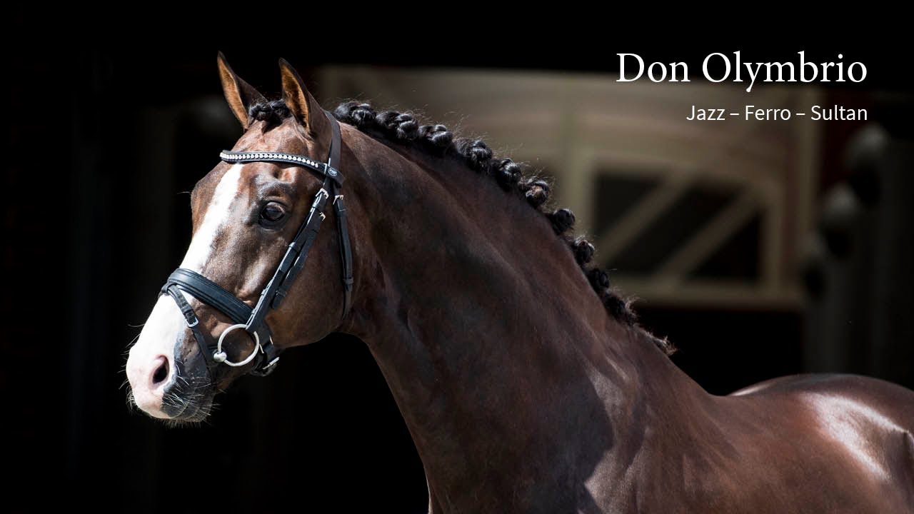 Don Olymbrio -  Gran Prix - Hargen 2018