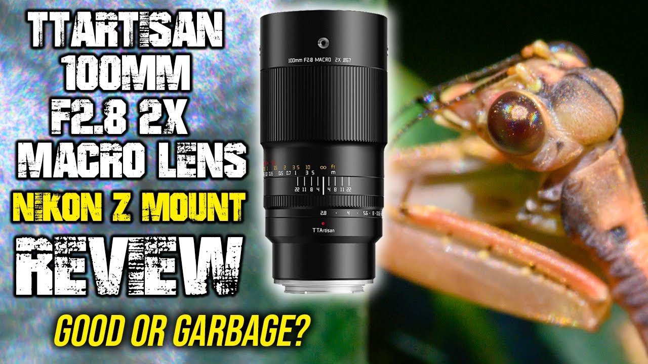 Обзор TTArtisan 100mm F2.8 2x Macro Nikon Z | ХОРОШО или МУСОР?