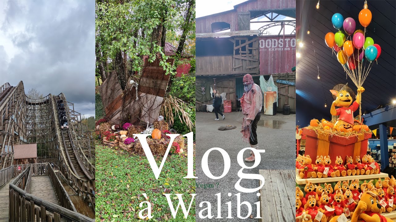 Vlog à Walibi RA: La première et dernière de l'année, Fun avec les copains mais encore déçus.