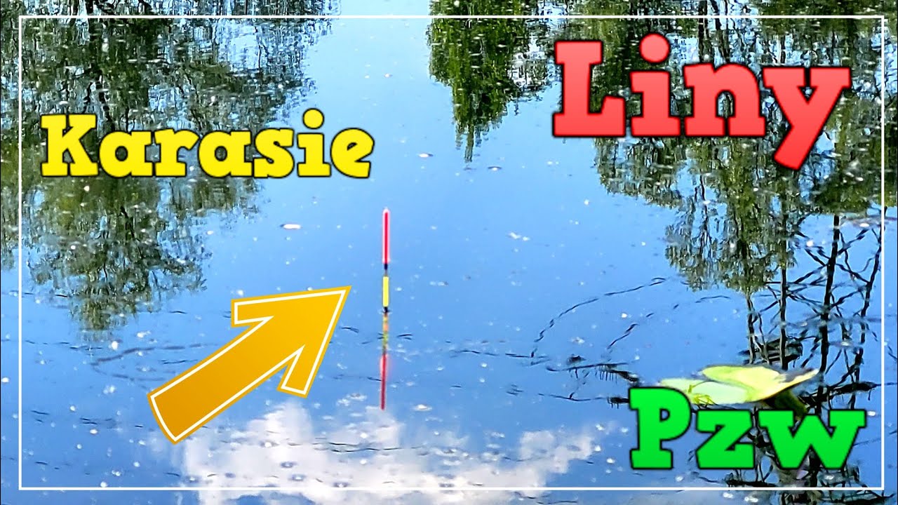 Spławik!!!  Liny i Karasie z PZW