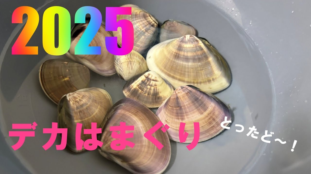 【大洗サンビーチ】2025年の潮干狩りは今までにない・・・でした‼
