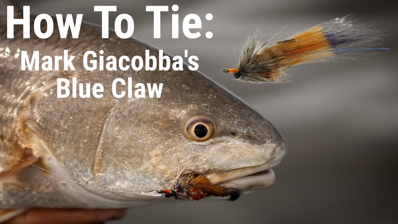 Как завязать: Blue Claw капитана Марка Джакоббы | Tailing Redfish Fly