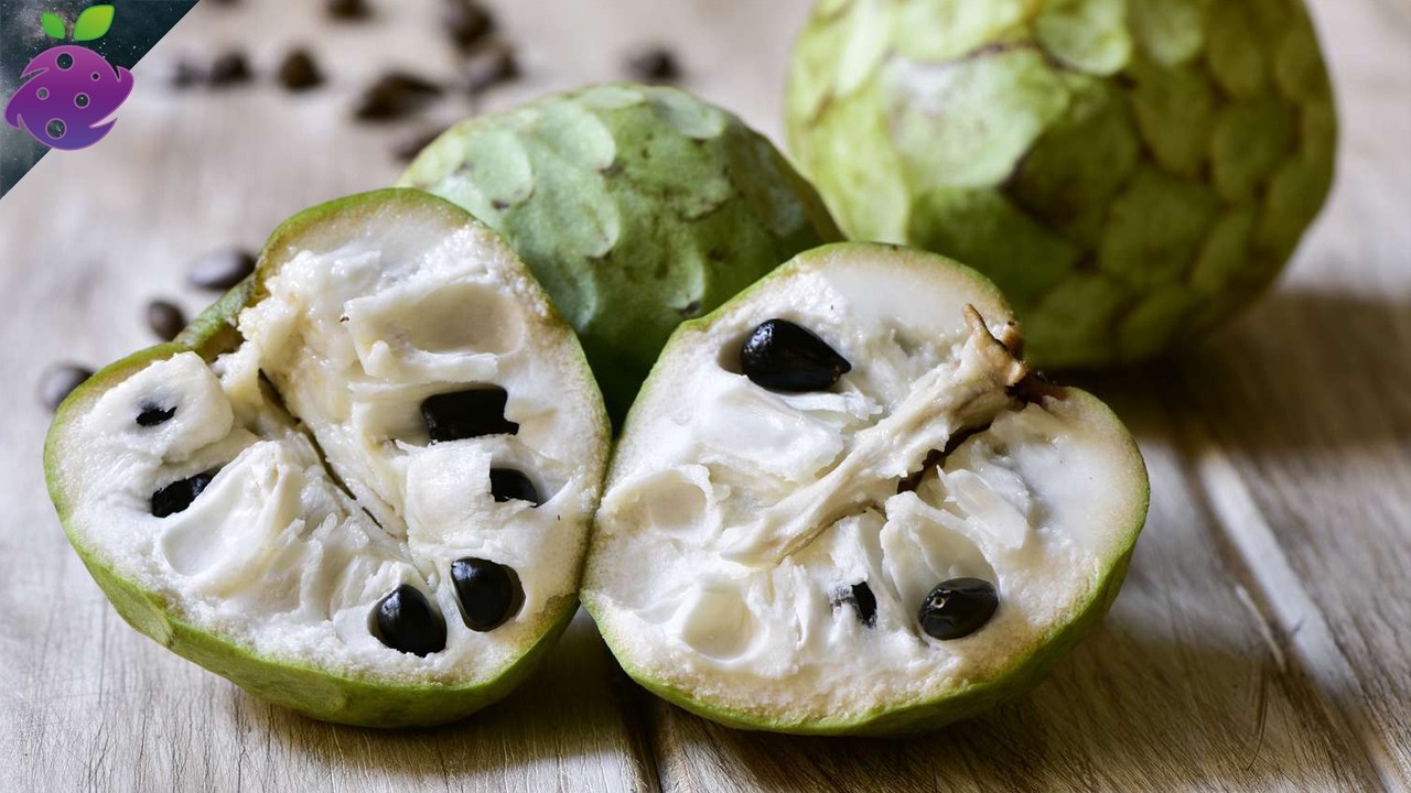 The 10 best tasting fruits in the world