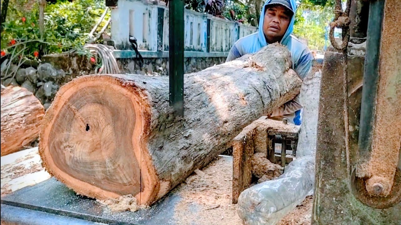 Sawmill kayu jati sangat Tua 