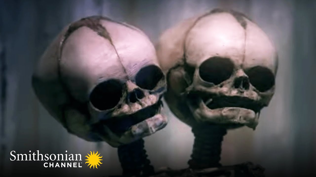 'The Curious Life and Death Of...' Official Trailer | Smithsonian Channel