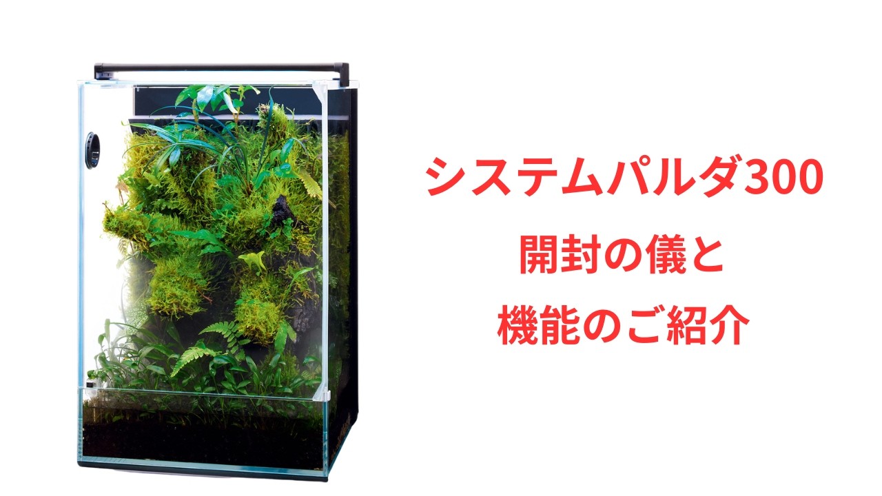 DOOAシステムパルダ300開封の儀 セット内容と機能をざっくり解説します！