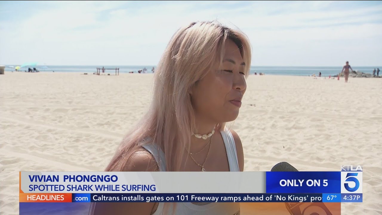 Surfer describes close encounter with great white shark at Newport Beach