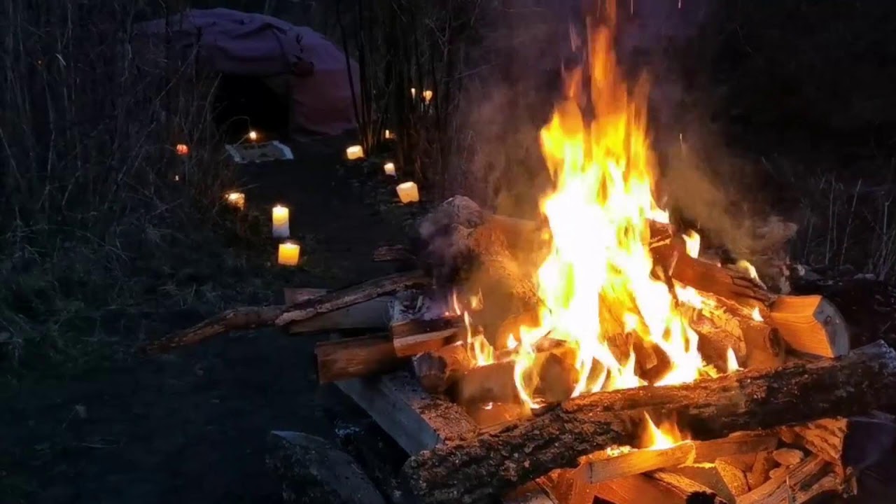 LIVE Fire crackling Sounds To Fall Asleep Instantly | Study with me | 12 hours live