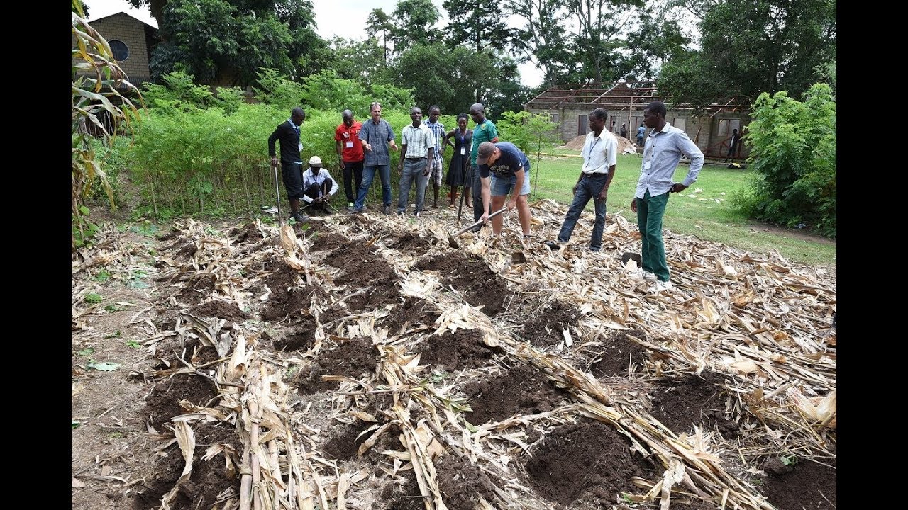 Growing impact among subsistence farmers