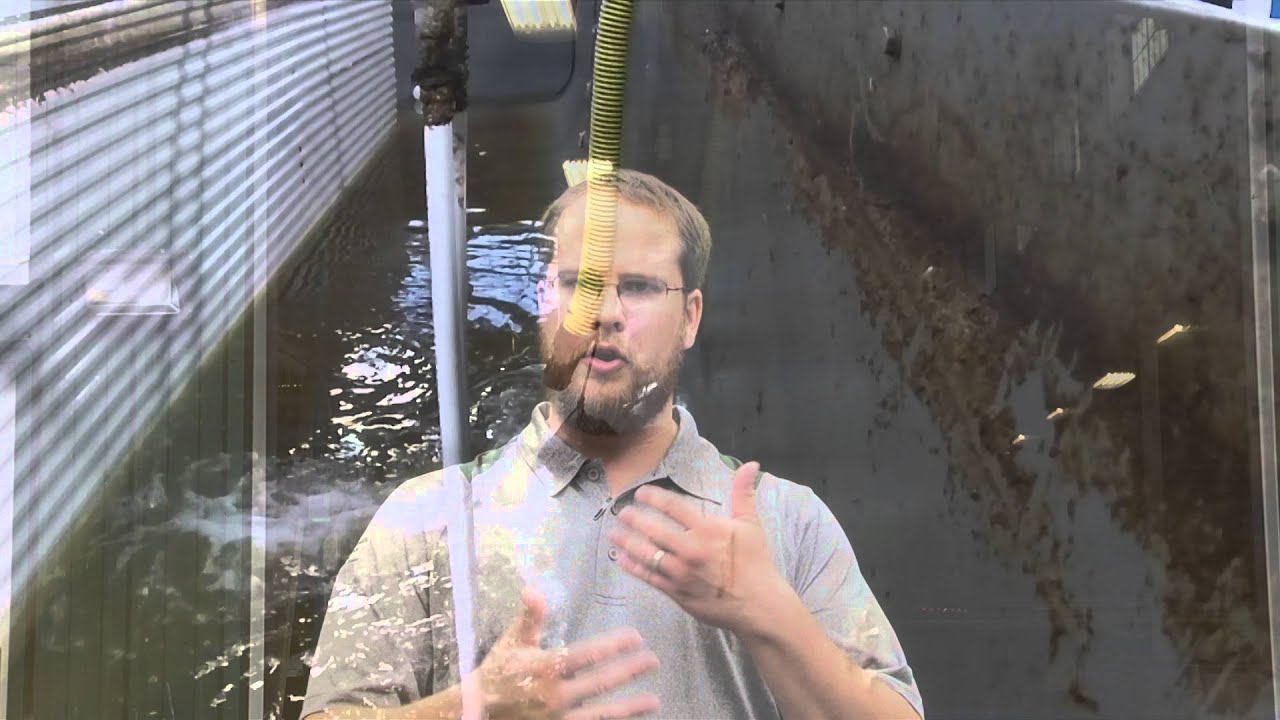 Growing Marine Shrimp in a Bio Floc System