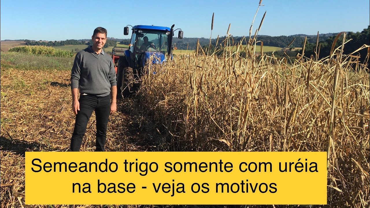 Adubação de sistemas - milheto-soja-trigo