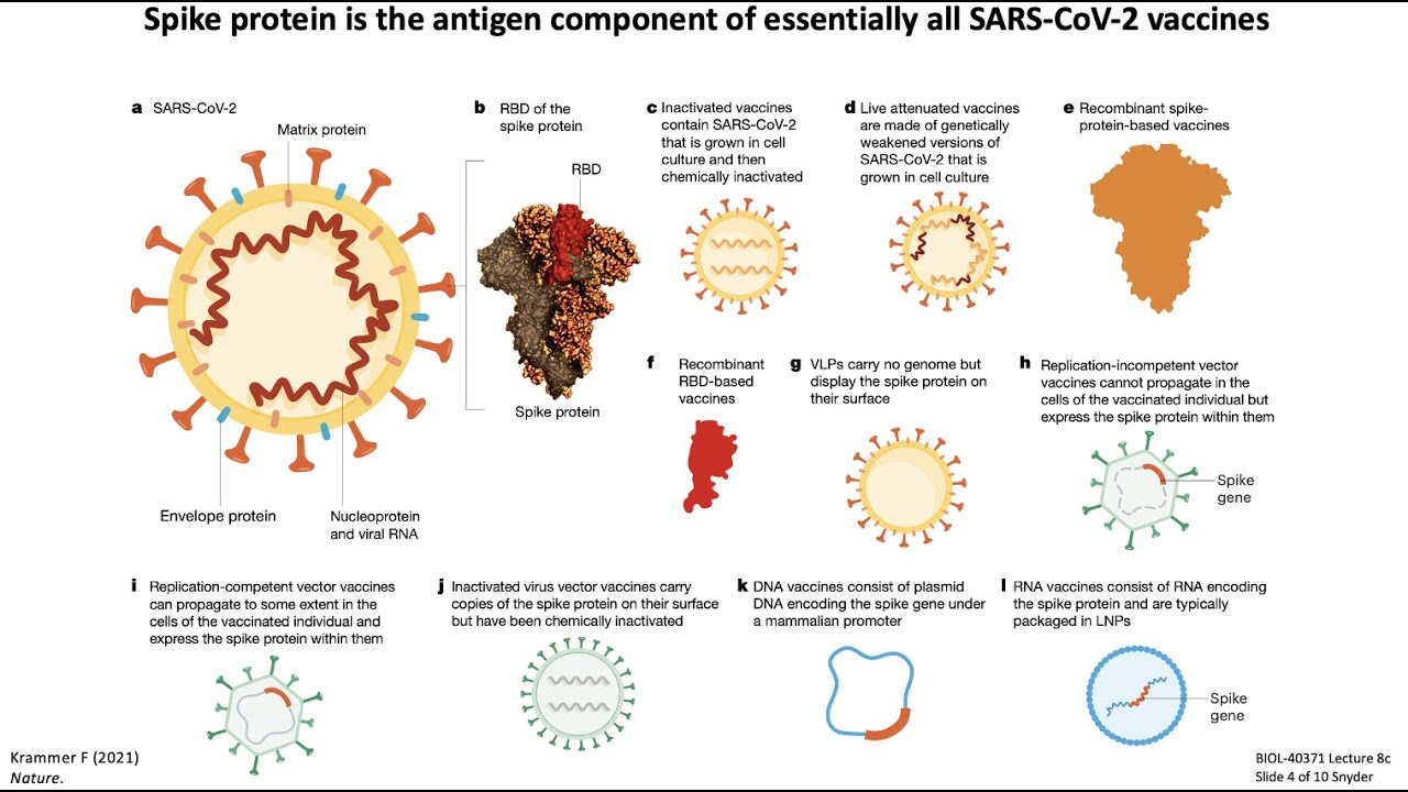Lecture 8c: SARS-CoV-2 Vaccines