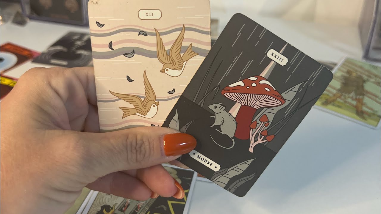 🚨🚨 SER DE LUZ X RIVAL: COMO FOI O FIM DE SEMANA DELES? 🚨🚨 FOFOCA! CONTINUAÇÃO