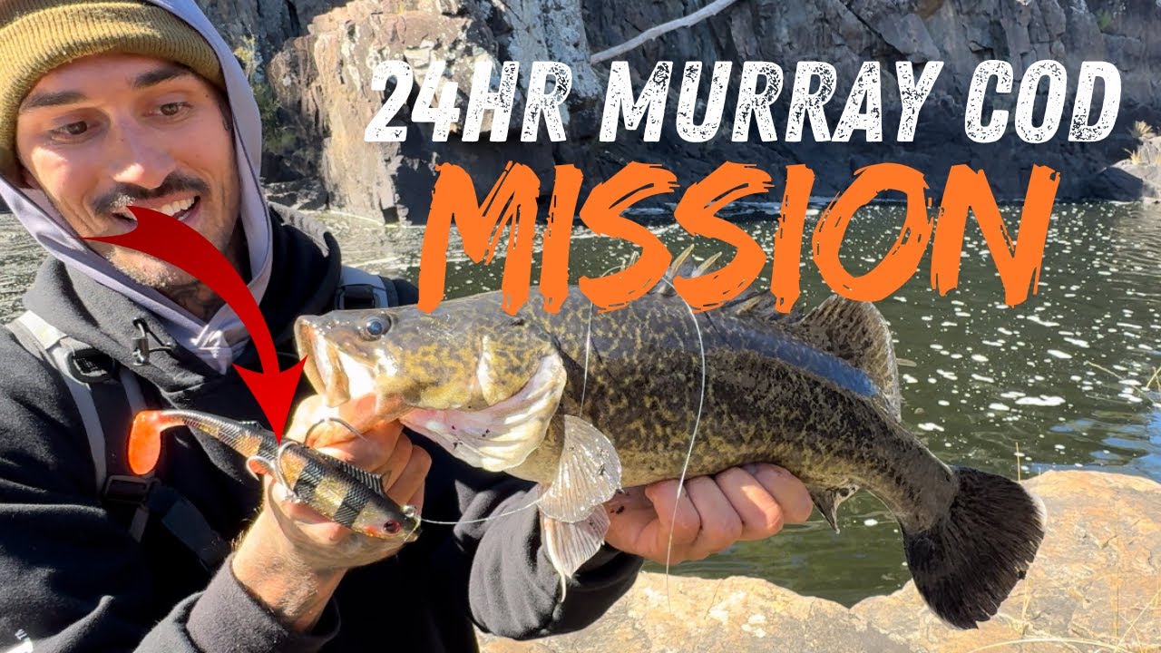 Overnight Mission Fishing The Severn River For Murray Cod Northern NSW!