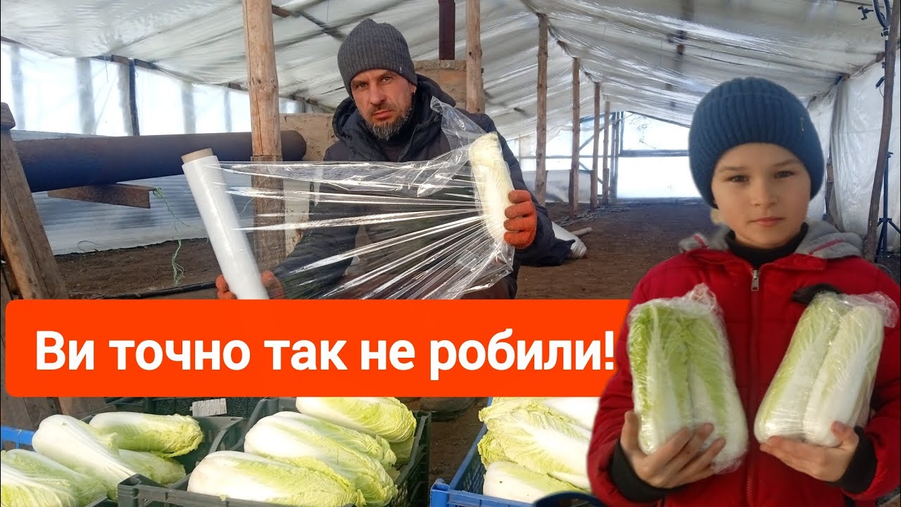 Тепличні справи на 20 Січня.