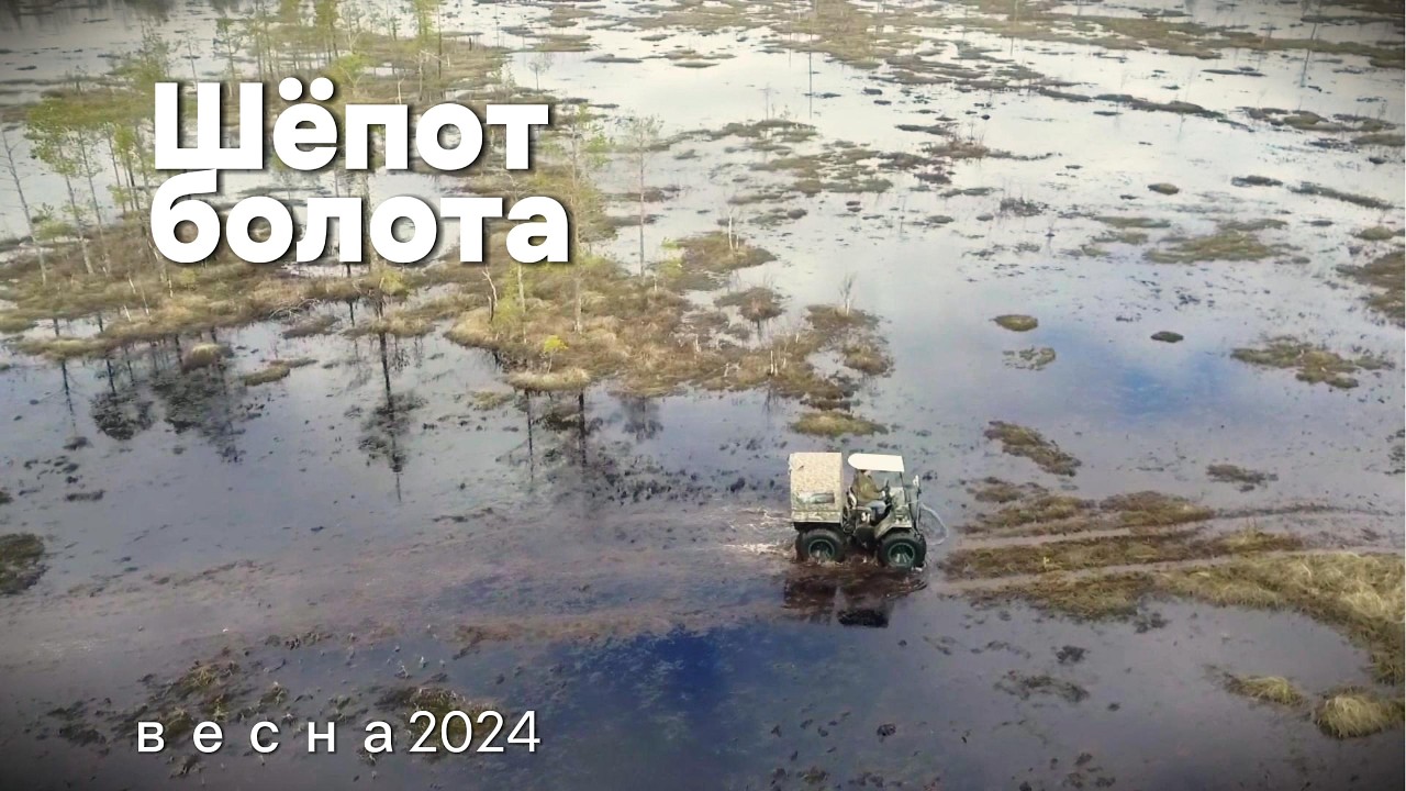 Шёпот болота весна2024 #природа #болото #болотоход