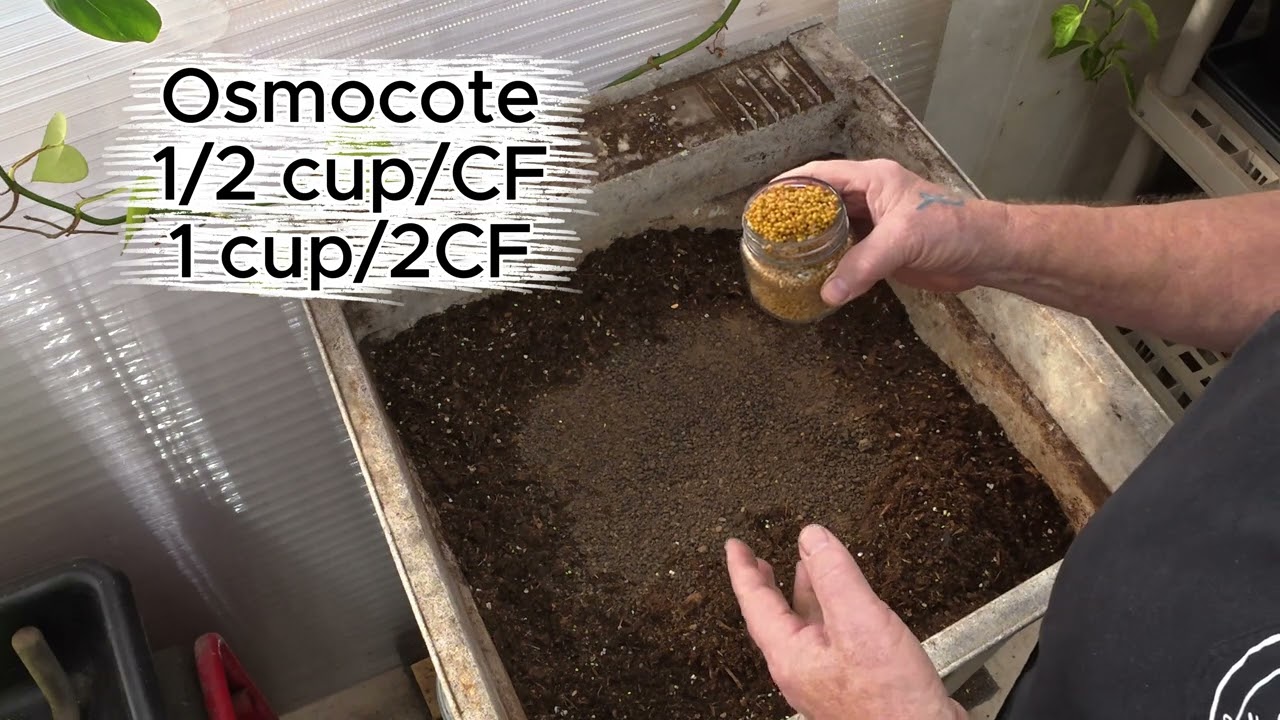 Episode 316: Best Container Mix for Tomatoes