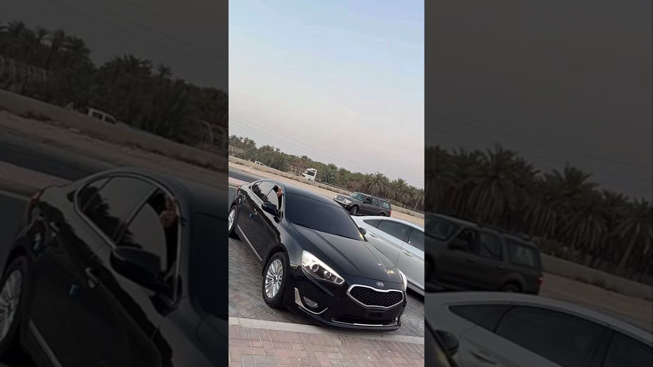 تندم تندم/مسرع