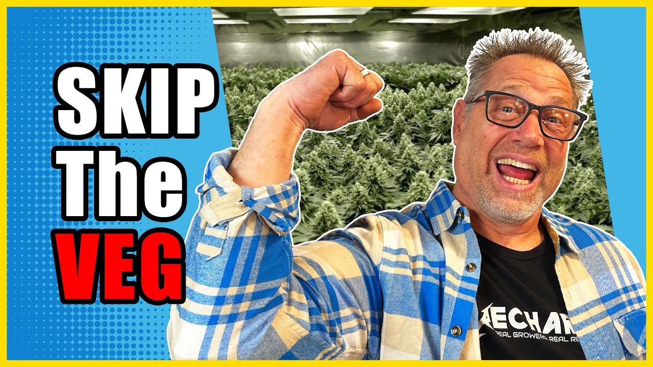 Do THIS to Cut Weeks Off Your Cannabis Grow Time