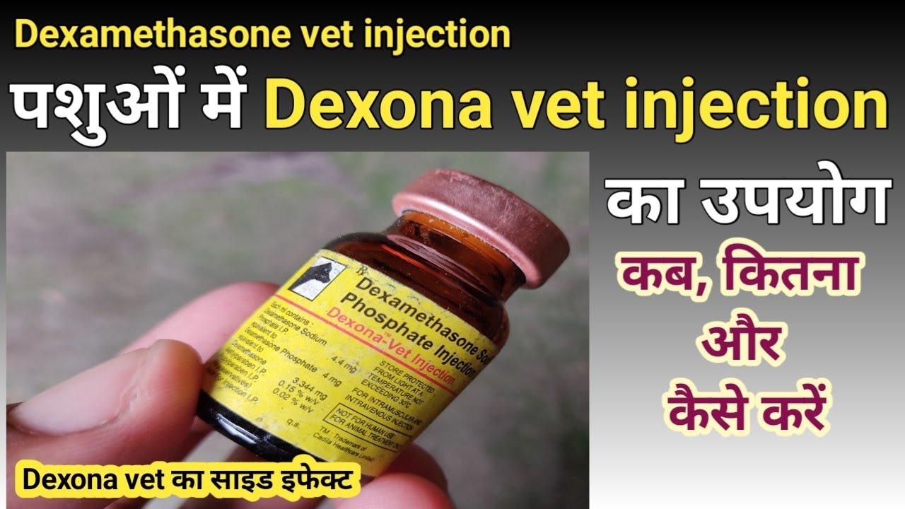 Dexona injection veterinary | Dexona vet injection uses, dexamethasone veterinary, dexona veterinary