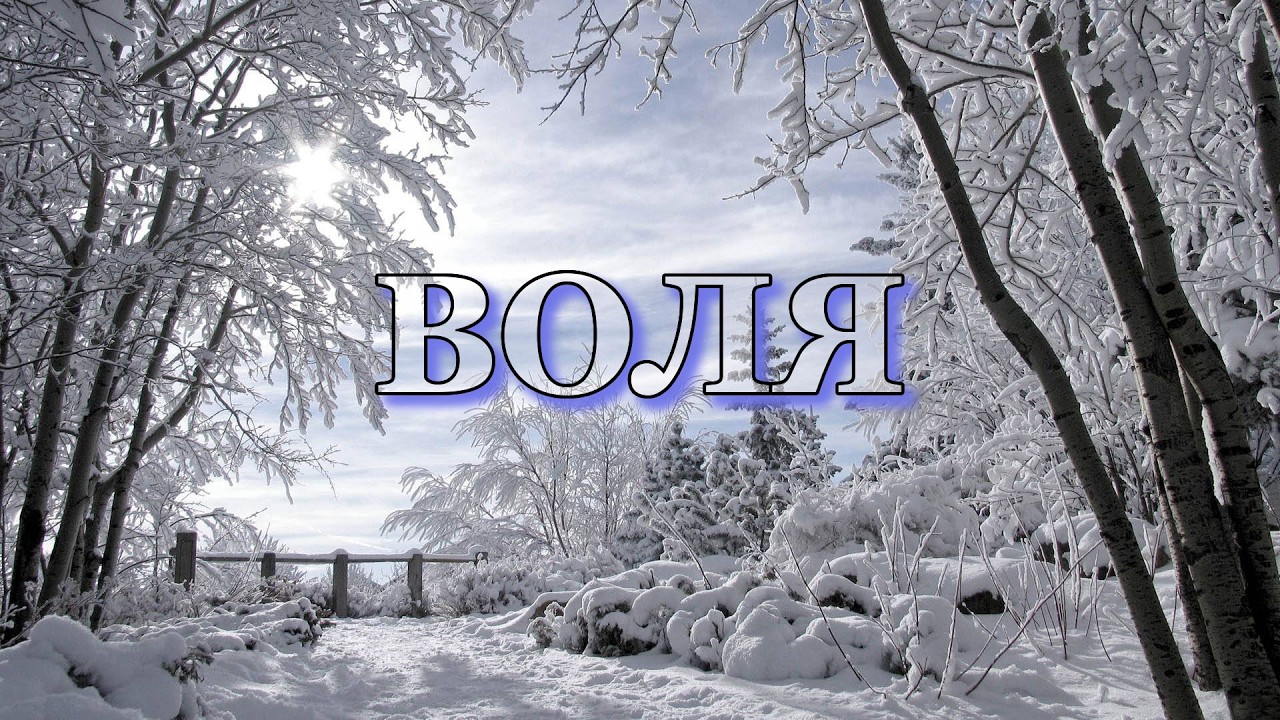 Александр Попов - Воля