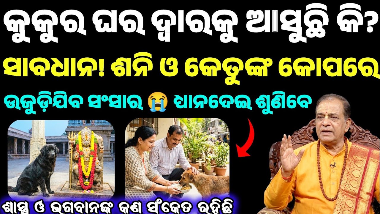 କୁକୁର ଘରକୁ ବାରମ୍ବାର ଆସୁଛି କି ? ଶାସ୍ତ୍ର ଓ ଭଗବାନଙ୍କ କଣ ସଂକେତ ରହିଛି? ଶୁଭ ନା ଅଶୁଭ ? Dog Bastu tips Odia 