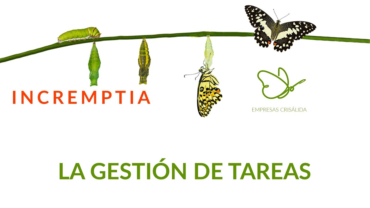 La gesti&oacute;n de tareas