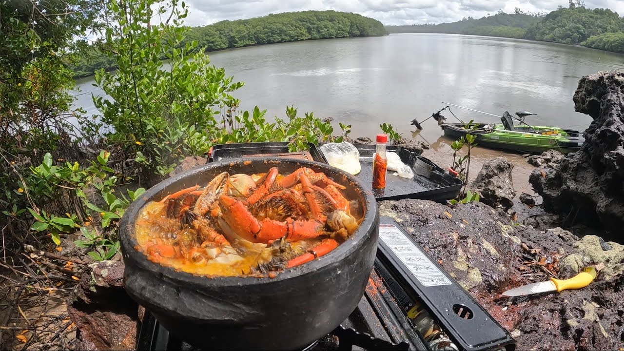 ROBALOS E CARANGUEJOS 🦀 PESQUEI E PREAREI SOZINHO NA BEIRA DO RIO.