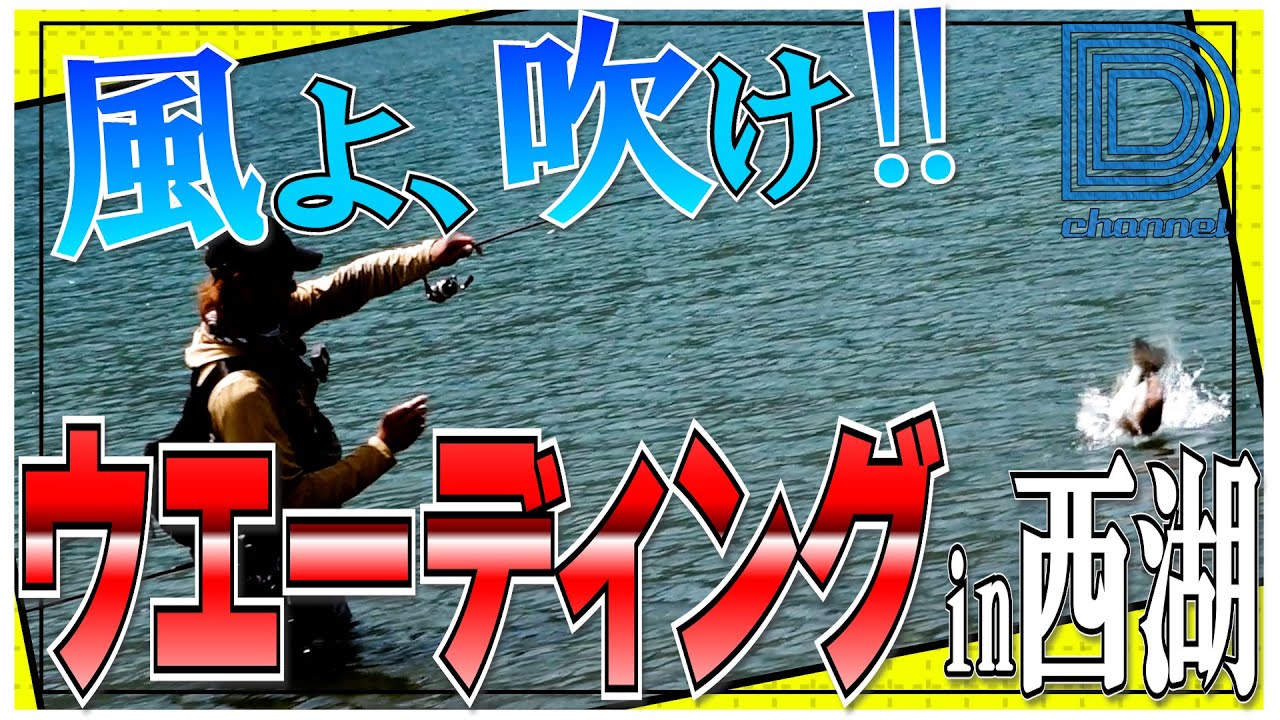 【青木大介 D Channel #018】風が吹いたらチャンス到来!?  ウエーディングで攻める西湖!!