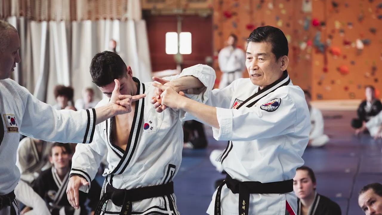 JJK VLOG 6 - More than 100 students to the Hapkido seminar