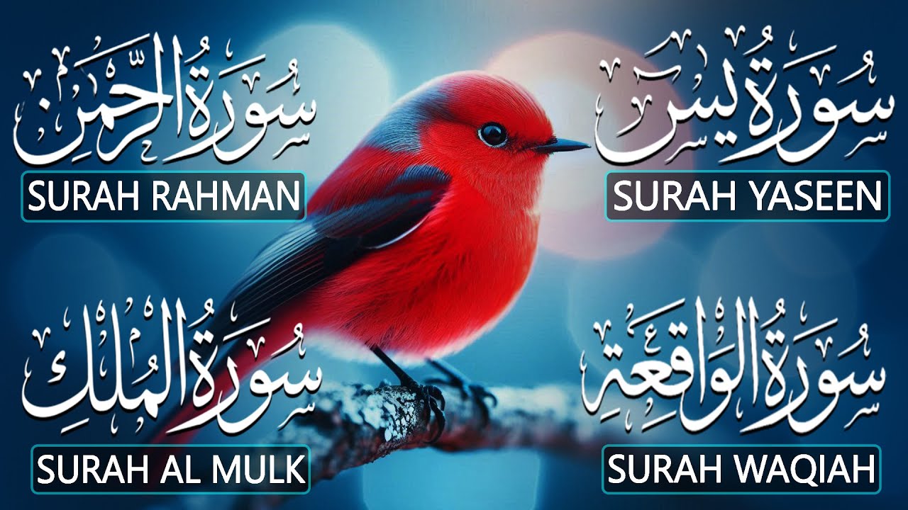 Very Nice Voice Surah Yaseen (Yasin) | Surah Rahman | Surah Waqiah | Surah Mulk l Reciter Alaa Aqel