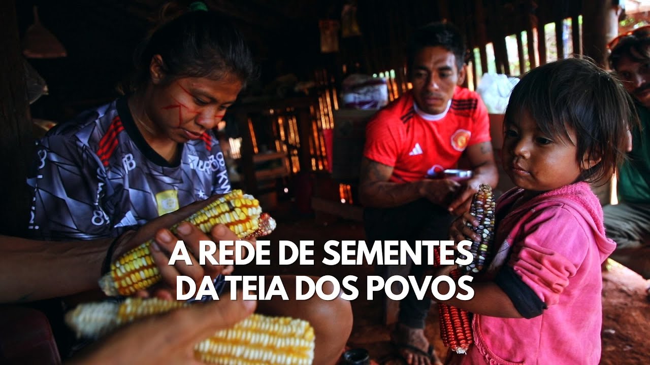 A Rede de Sementes da Teia dos Povos
