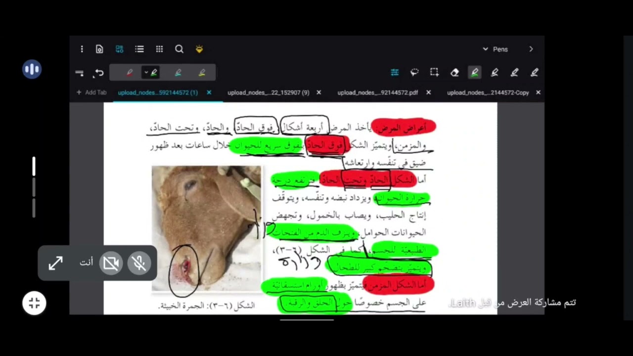 🔻مكثف الإنقاذ لمادة الإنتاج الحيواني الأمراض المعدية الفصل الأول 🔻