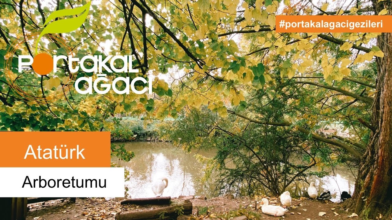 Atatürk Arboretumu