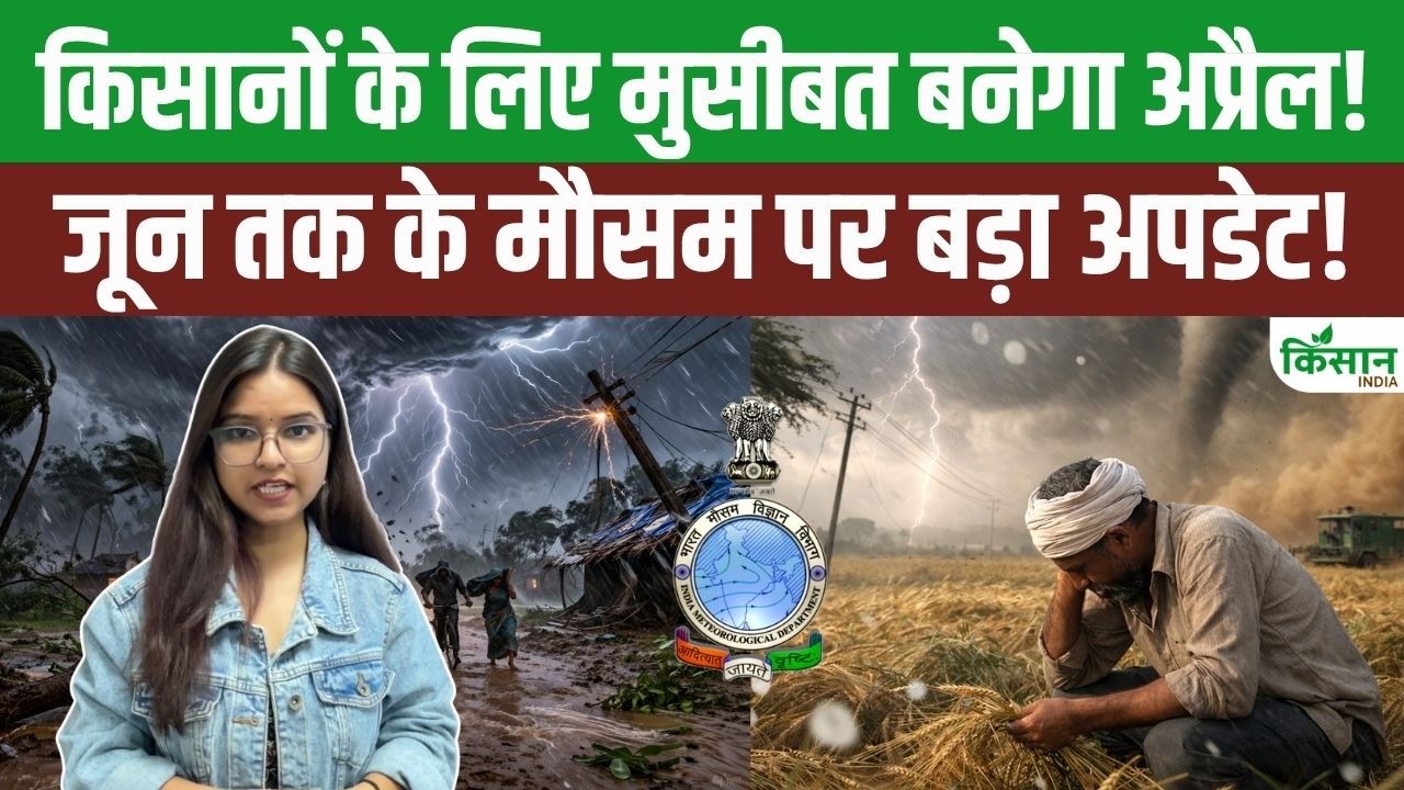 A major update regarding Monsoon 2026, IMD released the weather forecast from April to June!