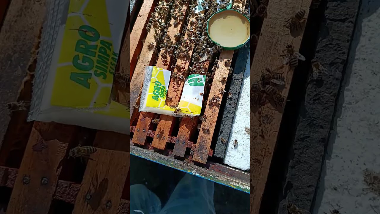 Ce puiet avem la roiiii! 